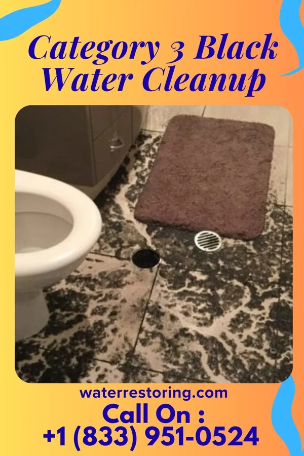 Category 3 Black Water Cleanup in Pine Island, MN