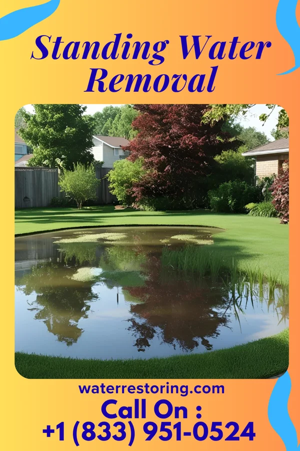 Standing Water Removal in Pine Island, MN